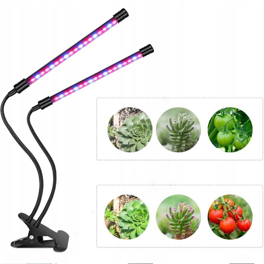 Taimekasvatuslamp 20 W LED-taimeriga hind ja info | Nutipotid ja taimelambid | kaup24.ee