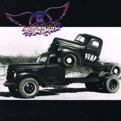 Виниловая пластинка Aerosmith - Pump, LP 12" vinyl record цена и информация | Виниловые пластинки, CD, DVD | kaup24.ee
