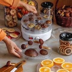 Puuvilja- ja seenekuivati Tadar 250W цена и информация | Сушилки для фруктов | kaup24.ee
