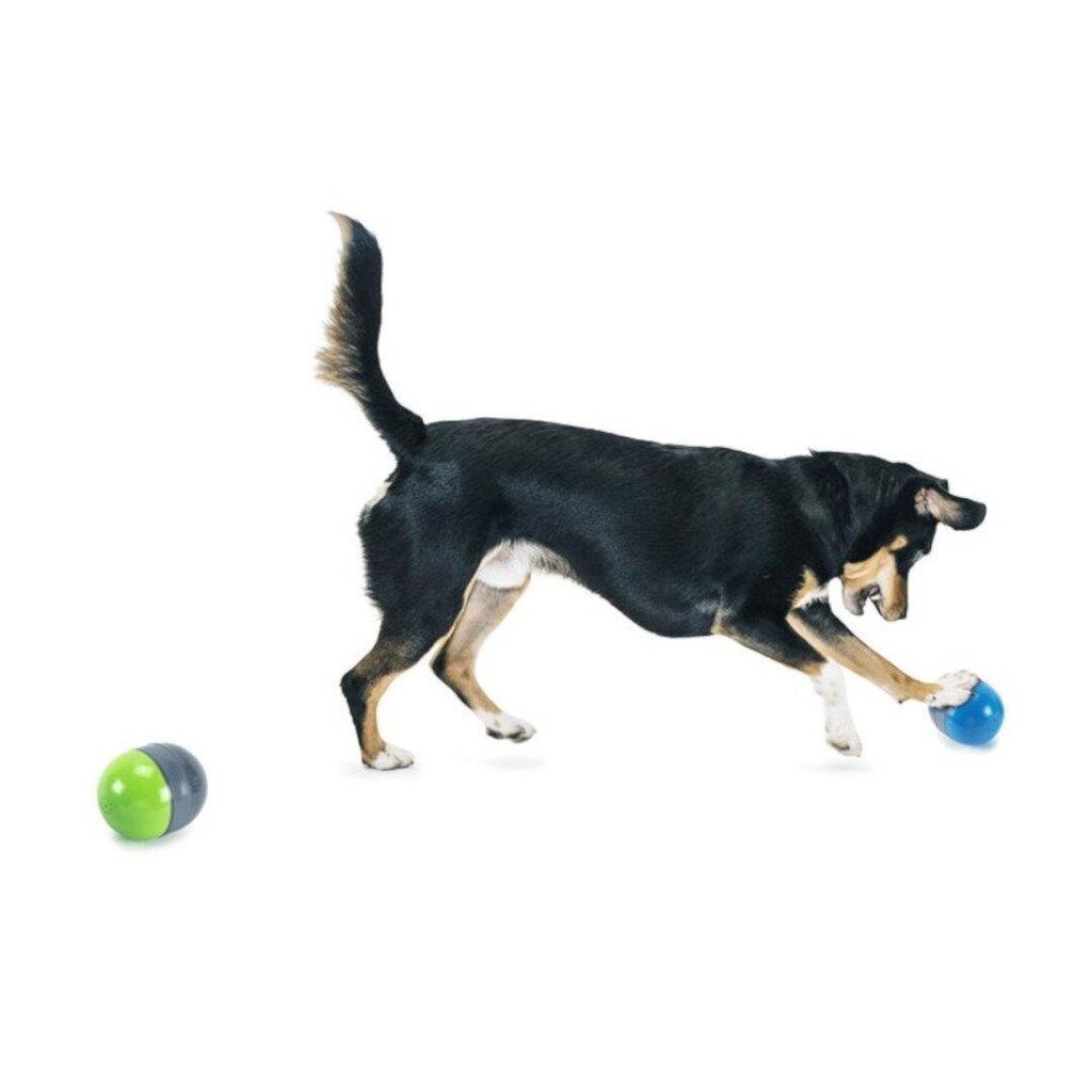 Petsafe Ricochet interaktiivne mänguasi koertele hind ja info | Mänguasjad koertele | kaup24.ee