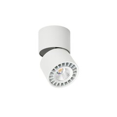 Потолочный светильник Herios  CLN-97018-12Вт-L-3K цена и информация | Потолочные светильники | kaup24.ee