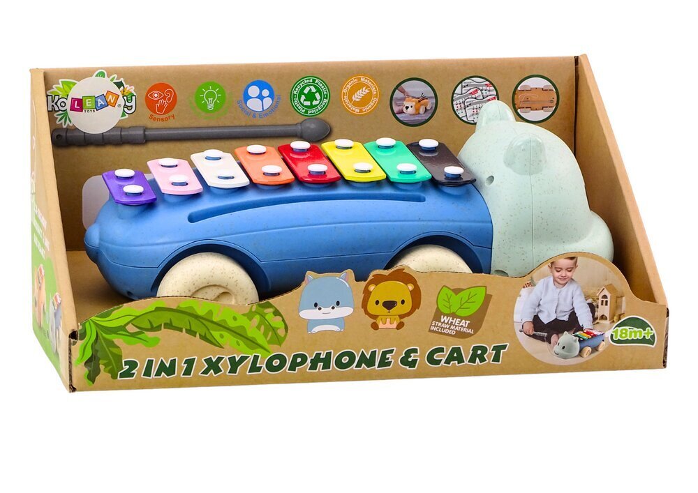 Ksülofon lastele Hippopotamus Lean Toys hind ja info | Imikute mänguasjad | kaup24.ee