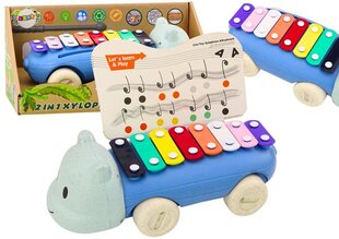 Ksülofon lastele Hippopotamus Lean Toys hind ja info | Imikute mänguasjad | kaup24.ee