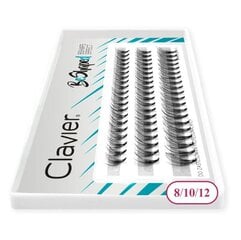 Ripsmed Clavier BeShaped Mix B 10D - 8-10-12 mm hind ja info | Kunstripsmed, ripsmekoolutajad | kaup24.ee