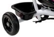 Lean Trike PRO300 kolmjalgne jalgratas koos varikatusega, hall hind ja info | Kolmerattalised jalgrattad | kaup24.ee