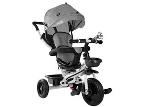 Lean Trike PRO300 kolmjalgne jalgratas koos varikatusega, hall hind ja info | Kolmerattalised jalgrattad | kaup24.ee