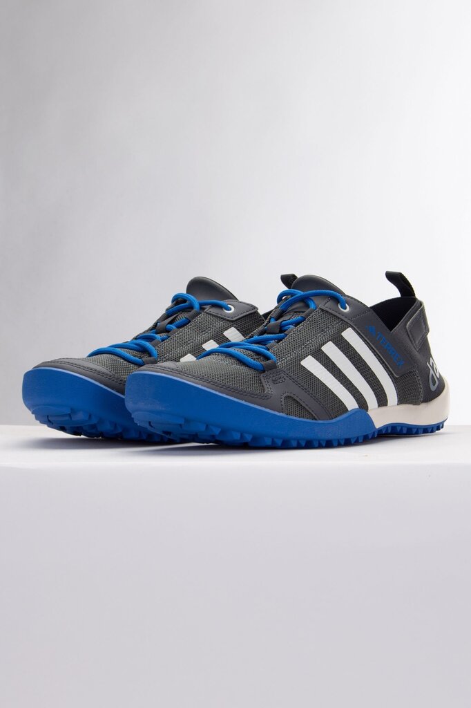 Adidas Terrex Daroga Two 13 HP8637 jooksujalatsid (hall) HP8637_41_13 цена и информация | Meeste kingad, saapad | kaup24.ee