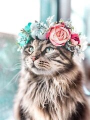 Алмазная мозаика "A cat with a wreath" 30х40см цена и информация | Алмазная мозаика | kaup24.ee