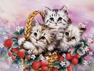 Teemant mosaiik "Kittens in a strawberry basket" 30 x 40 cm hind ja info | Teemantmaalid, teemanttikandid | kaup24.ee