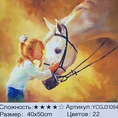 Алмазная мозаика "The girl and the horse" 40х50см цена и информация | Алмазная мозаика | kaup24.ee