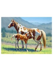 Алмазная мозаика "A horse and foal " 40х50см цена и информация | Алмазная мозаика | kaup24.ee