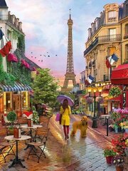 Алмазная мозаика "A girl with a dog in Paris" 30х40см цена и информация | Алмазная мозаика | kaup24.ee