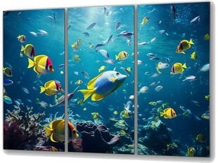 Klaasi maalimine kala veealune ookean korallriff 150x95 cm цена и информация | Детали интерьера | kaup24.ee