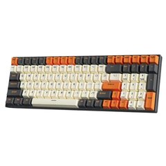 Royal Kludge RK100 Black-Orange цена и информация | Клавиатуры | kaup24.ee