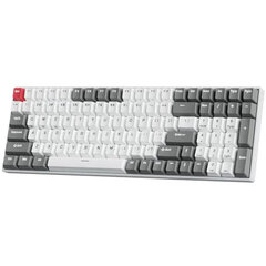 Royal Kludge RK100 White-Grey, Red Switch, US hind ja info | Klaviatuurid | kaup24.ee