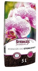 Sterlux Premium Orchid Media 5 l hind ja info | Muld, turvas, kompost | kaup24.ee