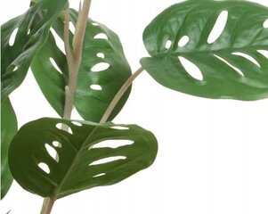 Monstera kunstlik dekoratiivtaim potis 45 cm hind ja info | Sisustuselemendid | kaup24.ee