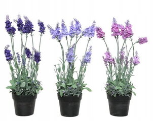 Lavendel potis kunstlik taim 1 tk 38x18 cm hind ja info | Sisustuselemendid | kaup24.ee