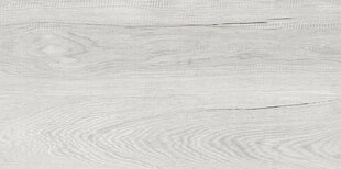 Glasuuritud puiduefektiga kiviplaat helehall 30x60 cm hind ja info | Põrandaplaadid | kaup24.ee