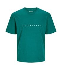 Jack & Jones meeste T-särk 12243625*01, roheline 5715603698831 hind ja info | Meeste T-särgid | kaup24.ee