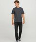 Jack & Jones meeste T-särk 12245087*02, tumehall 5715427284890 цена и информация | Meeste T-särgid | kaup24.ee