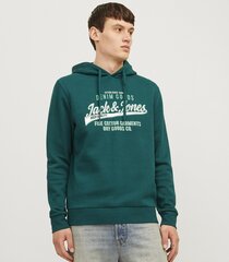 Jack & Jones meeste dressipluus 12255617*01, tumeroheline 5715602831314 hind ja info | Meeste särgid ja triiksärgid | kaup24.ee