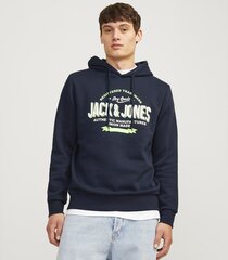 Jack & Jones мужская толстовка 12255617*02, тёмно-синий 5715602831369 цена и информация | Мужские рубашки | kaup24.ee