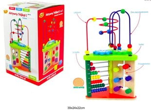Игрушка-развивашка для детей, Electronics LV-300339, разноцветная, 1шт цена и информация | Развивающие игрушки | kaup24.ee