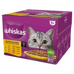 Мокрый корм для кошек Whiskas Poultry Turkey Duck Chicken в соусе 24х85г цена и информация | Кошачьи консервы | kaup24.ee