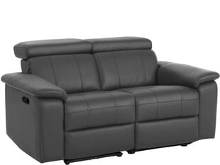 Двухместный диван Loft24 Tanaro, серый цена и информация | Диваны | kaup24.ee