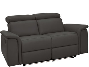 Двухместный диван Loft24 Pareli, коричневый цена и информация | Диваны | kaup24.ee