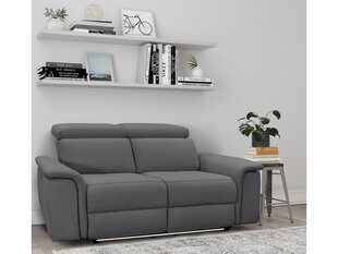 Двухместный диван Loft24 Pareli, серый цена и информация | Диваны | kaup24.ee