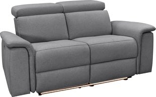Двухместный диван Loft24 Pareli, серый цена и информация | Диваны | kaup24.ee