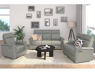 Трехместный диван Loft Southbrook, серый цена и информация | Диваны | kaup24.ee