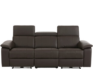 Трехместный диван Loft Tanaro, коричневый цена и информация | Диваны | kaup24.ee