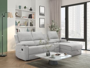 Трехместный диван Loft Dallas, серый цена и информация | Диваны | kaup24.ee