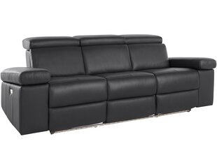 Трехместный диван Loft Rayland, черный цена и информация | Диваны | kaup24.ee