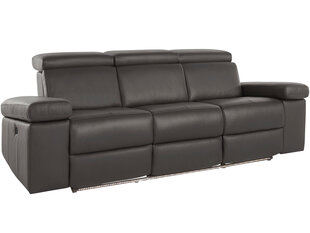 Трехместный диван Loft Rayland, коричневый цена и информация | Диваны | kaup24.ee