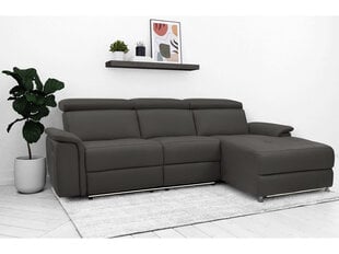 Трехместный диван Loft Pareli, коричневый цена и информация | Диваны | kaup24.ee