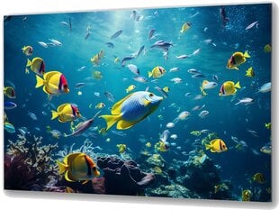 Klaasi maalimine kala veealune ookean korallriff 130x83 cm цена и информация | Детали интерьера | kaup24.ee