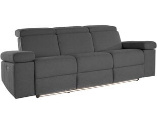 Трехместный диван Loft Rayland, серый цена и информация | Диваны | kaup24.ee
