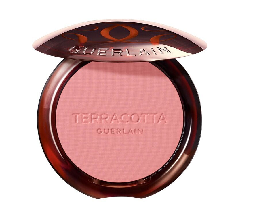 Põsepuna Guerlain Gier Terracotta Polvos, 24 Blush Nude, 5 g цена и информация | Päikesepuudrid, põsepunad | kaup24.ee