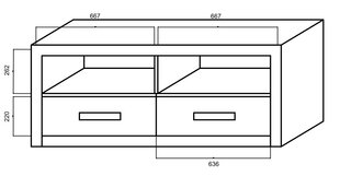 Тумба Megan RTV с 2 выдвижными ящиками - RTV 1 цена и информация | Тумбы под телевизор | kaup24.ee