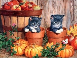 Teemant mosaiik "Kittens with pumpkins" 30 x 40 cm hind ja info | Teemantmaalid, teemanttikandid | kaup24.ee