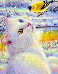 Teemant mosaiik "A cat with a bird" 30 x 40 cm hind ja info | Teemantmaalid, teemanttikandid | kaup24.ee