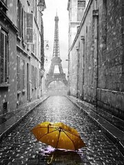 Алмазная мозаика "A yellow umbrella in Paris" 30х40см цена и информация | Алмазная мозаика | kaup24.ee