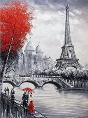 Алмазная мозаика "Paris with mahogany" 30х40см цена и информация | Алмазная мозаика | kaup24.ee