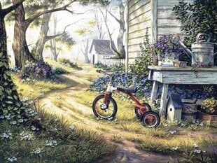 Алмазная мозаика "A bicycle in the yard" 30х40см цена и информация | Алмазная мозаика | kaup24.ee