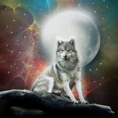 Алмазная мозаика "A wolf under the moon" 30х30см цена и информация | Алмазная мозаика | kaup24.ee