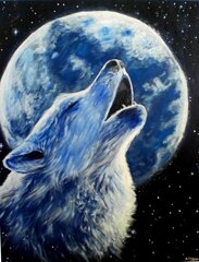 Teemant mosaiik "A wolf howls at the moon" 30 x 40 cm hind ja info | Teemantmaalid, teemanttikandid | kaup24.ee